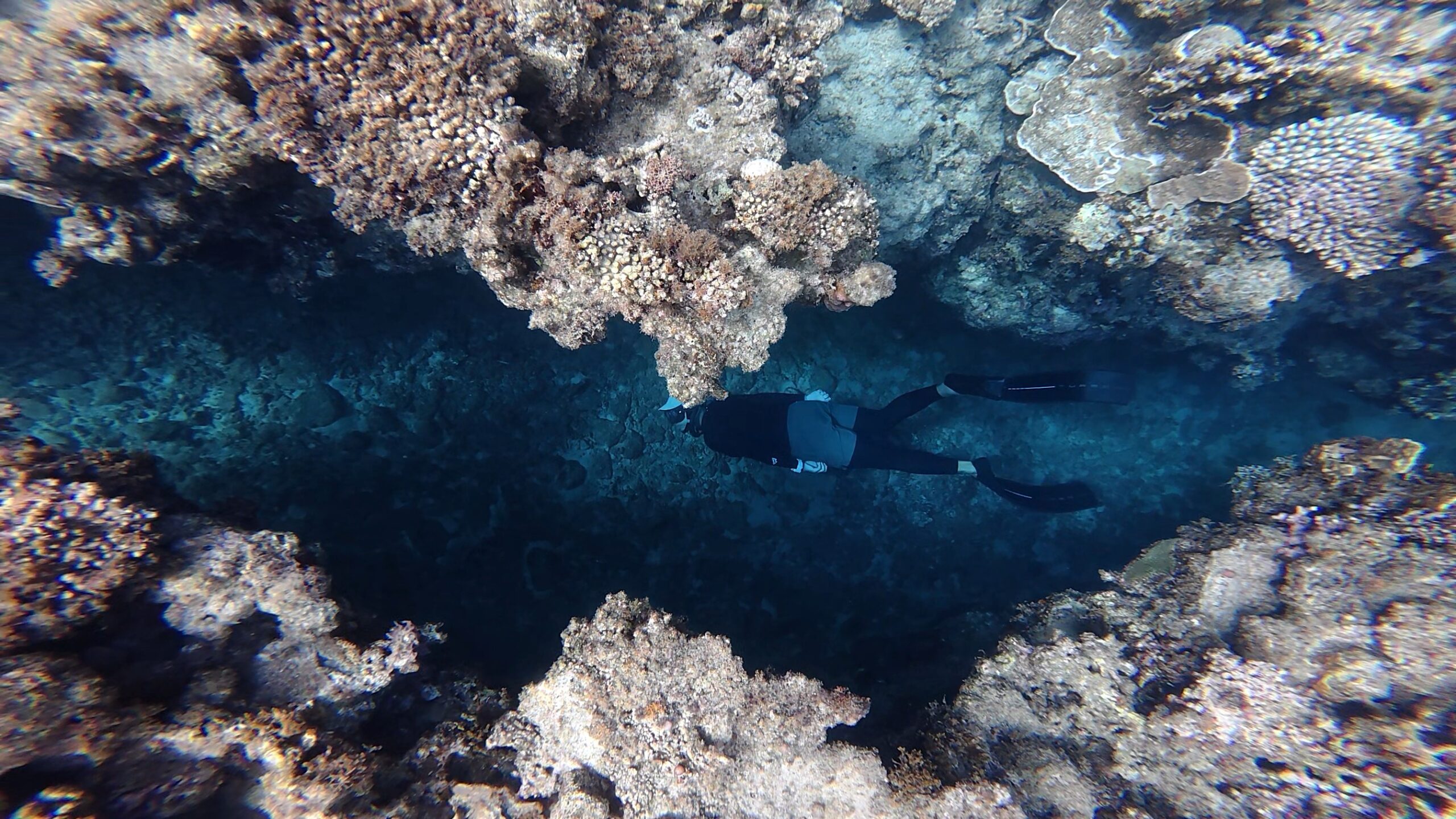 diving