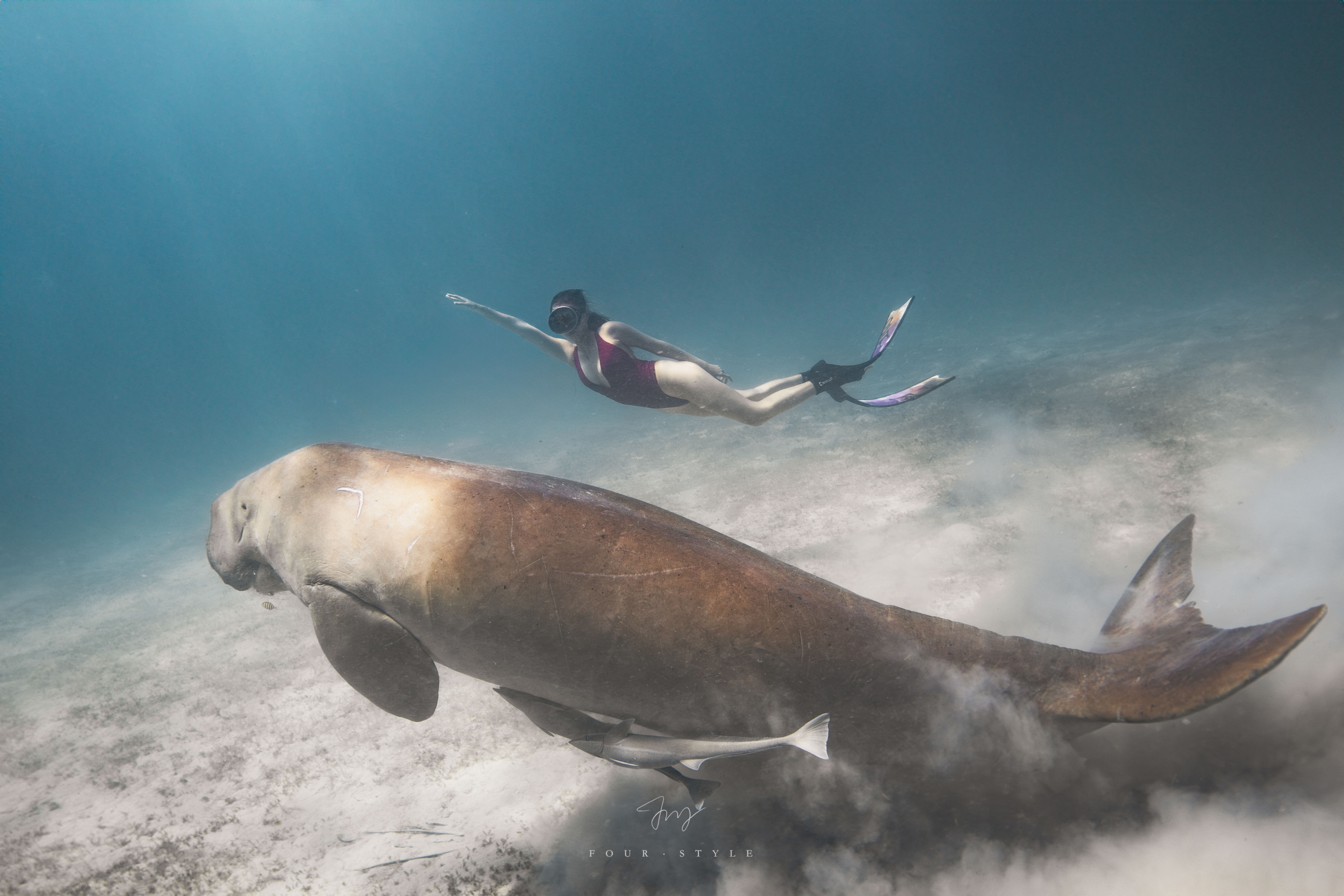 fun dive